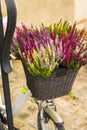 Calluna flowers in a bicycle basket