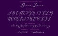 Hand drawn callygraphic font vector alphabet set