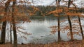 Calm ake through autumn trees