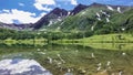 A calm Alpine lake. The rocks at the bottom are visible Royalty Free Stock Photo