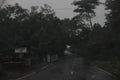 The calm atmosphere along the Prigen road, Pasuruan, East Java Royalty Free Stock Photo