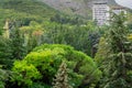 Calm autumn landscape with coniferous trees and cedars on the background of Ayu-Dag mountain and two buildings