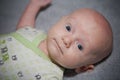 Calm Baby Royalty Free Stock Photo