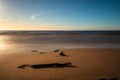 Calm Baltic sea seashore beach background in golden hour Royalty Free Stock Photo