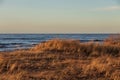 Calm Baltic sea seashore beach background in golden hour Royalty Free Stock Photo