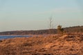 Calm Baltic sea seashore beach background in golden hour Royalty Free Stock Photo