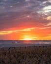 Calm beach scene under a vibrant sunset as the sun dips below the horizon. Long Beach