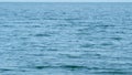 Calm Beautiful Seascape. Texture Of Water Surface Of Sea Reflection Of Blue Sky. Still. Royalty Free Stock Photo