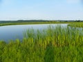 Peaceful pond overlooks distant valley and hills in NYS Royalty Free Stock Photo