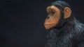 Calm chimpanzee on a black background Royalty Free Stock Photo