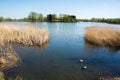 Calm and clear water of North Willen Lake on sunny day