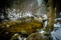 The Calm and Clear Waters of the Mumlava River in Winter Time Royalty Free Stock Photo