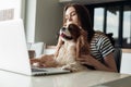 Calm and concentrated brown haired woman sitting in kitchen with dog coker Cavalier King Charles spaniel using laptop