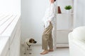 Calm and coziness. Beautiful young woman with dog standing near the window at home, close-up. Royalty Free Stock Photo