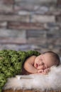 Calm and cute baby sleep