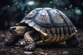 A calm and easygoing turtle basking on a rock. Generative AI