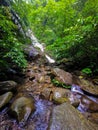 Calm environment scenery commonly seen in hiking trail in Malaysia rain forest