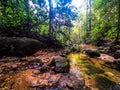 Calm environment scenery commonly seen in hiking trail in Malaysia rain forest