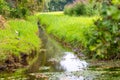 Calm floating creek with crystal clear water and idyllic scenery for a hiking tour along the waterway to relax and enjoy nature