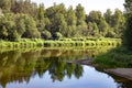 Calm flow of the clear Gauja river among dense forests