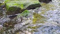 Calm flowing water stream over rocks through idyllic green nature with clear water in summer time. Green river banks