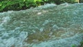 Calm Forest Stream Creek Turned Into Fast Current Rapid Dangerous River Flowing in Riverbed During Season Flooding Royalty Free Stock Photo