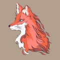 Calm fox, detailed cartoon style vector illustration