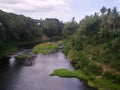 Calm fresh water river during summer.