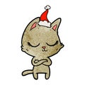 calm hand drawn textured cartoon of a cat wearing santa hat