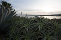 Calm harbor with inlet behind bushes in foreground with boat at s Royalty Free Stock Photo