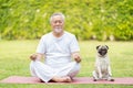 Calm of Healthy Asian Elderly man with white hairs doing yoga lotus pose for meditation with dog pug breed on green grass at park, Royalty Free Stock Photo