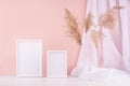 Calm home decor with set of two blank photo frame for text, design, poster, silk curtain, fluffy reeds on white wood table, pink. Royalty Free Stock Photo