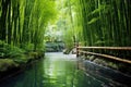 calm hot spring in the heart of a dense bamboo forest