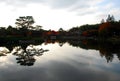 Calm lake autumn foliage Royalty Free Stock Photo