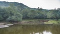 A calm lake in the jungle. There are lush thickets of trees on the shore.