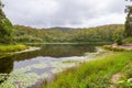 A calm lake with lily pads, green vegetation and an overcast sky Royalty Free Stock Photo