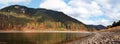 Calm lake with low water - round stones at shore visible, autumn coloured coniferous trees on other side, blue sky above Royalty Free Stock Photo