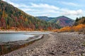 Calm lake with low water - round stones at shore visible, autumn coloured coniferous trees on other side, blue sky above Royalty Free Stock Photo