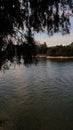 Calm Lake in Sarangan, Indonesia Royalty Free Stock Photo