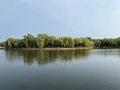 The calm lake surface, the dense willow forest