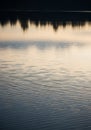 Calm lake surface reflects silhouettes of trees, creating an abstract, serene pattern. Th Royalty Free Stock Photo