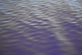 Calm lake water Royalty Free Stock Photo