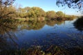 Landscape with a quiet backwater with still water and dense vegetation around on a sunny day in a golden autumn Royalty Free Stock Photo