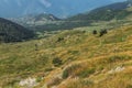 Calm meadow in Svaneti mountains Georgia