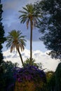 Calm morning in a park in Rome