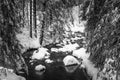 Calm mountain creek in winter time Royalty Free Stock Photo