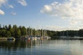 Calm nature harbour Stockholm archipelago