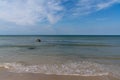 Calm ocean with gentle waves lapping at a golden sand beach under a blue sky with wispy clouds