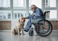 Calm old male on wheelchair stroking the pooch in room
