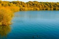 Calm peaceful lake sunset. Oso Flaco Lake Natural area, California. Wetland natural landscape Royalty Free Stock Photo